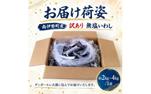 【訳あり】 無塩 いわし 約3kg 冷凍 国産 イワシ 鰯 内蔵処理 頭なし 料理 簡単調理 手軽 和風 和食 おかず 惣菜 弁当 魚 海鮮 魚介 訳あり 南伊勢町産 三重県 伊勢 志摩
