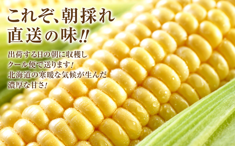 【北海道恵庭市産】朝どりスイートコーン×20本 北海道産 とうもろこし ふるさと納税 北海道 恵庭市【31000103】 ２０本