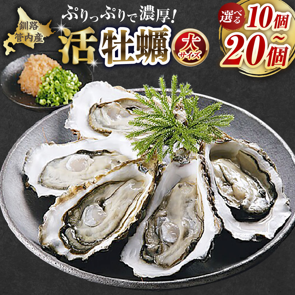 【ふるさと納税】【ぷりっぷりで濃厚！】釧路管内産【活】牡蠣（大） 1個あたり約140～190g 10個 / 20個 ＜選べる内容量＞ 殻付き 牡蠣 かき カキ 魚貝類 貝 水産物 海鮮 海のミルク 生食 焼ガキ お鍋 冷蔵 北海道産 国産 北海道 釧路市 送料無料