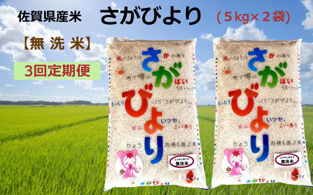 
            【定期便】【3回】【無洗米】佐賀県産米さがびより(5kg×2袋)
          