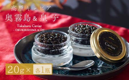 Takaharu Caviar（たかはるキャビア）贅沢2種味比べセット　TF0517-P00045