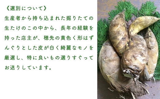 【先行受付】特選 生たけのこ 2kg予約 4月上旬発送 熊本県 南関町産 春 筍