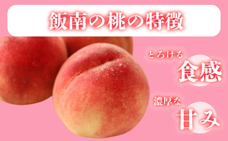 【2026年6月下旬より順次発送】 飯南の桃 約4kg 桃 ﾓﾓ