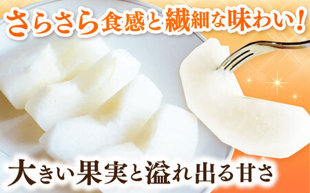 【100年続く梨農家直送】【化粧箱入り】新吉（新高）4個入（約3kg） / 梨 なし 伊万里梨 フルーツ 果物&nbsp;/ 佐賀県 / 大川三世代[41AEAB009]