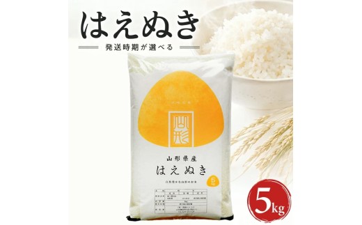 山形県産はえぬき（精米）5kg×1袋 （令和8年産米）10月中旬
