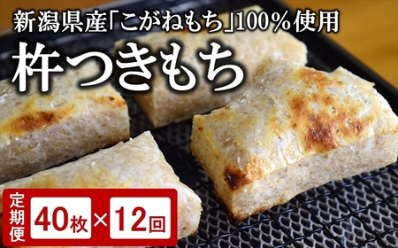 【12ヶ月定期便】玄米餅 切り餅 430g×5パック（計 40切）×12回 杵つきもち[Y0445]