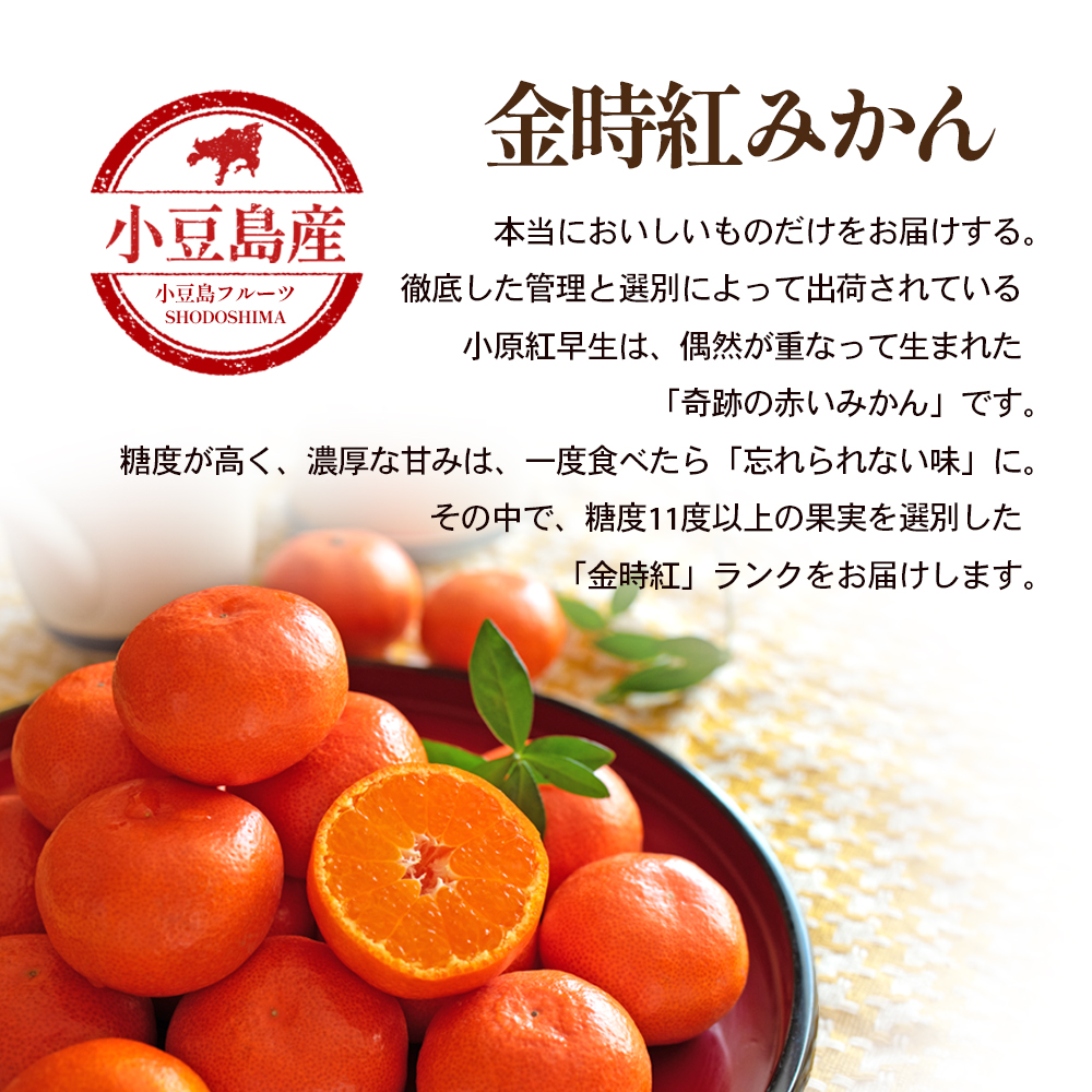 金時紅みかん　約2.5kg化粧箱