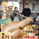 【ふるさと納税】 大人気！ 佐賀県産 泥付き れんこん（2kg） もりながファーム 送料無料 農家直送 九州 佐賀 続々高評価 蓮根 野菜 根菜 サラダ マリネ 【A070-023】