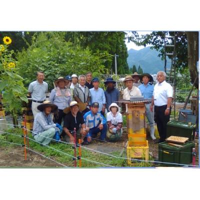 ふるさと納税 飛騨市 飛騨 日本みつばちの会の蜂蜜 <ひだの百花蜜>   150g 2本 桐箱入り |  | 03