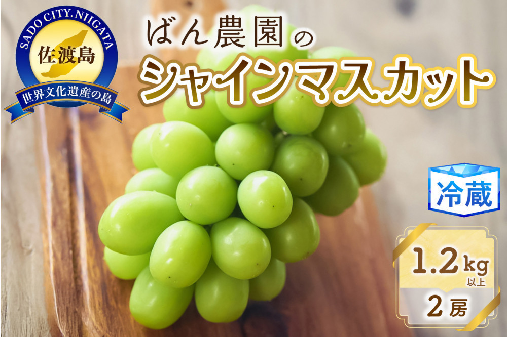 
            シャインマスカット2房1.2Kg以上　佐渡島産
          