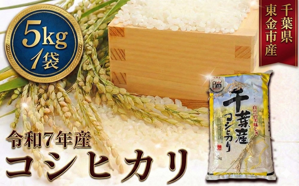 
                  コシヒカリ 5kg 米 お米 こめ コメ こしひかり 7年度産 千葉県産 kome okome 精米 白米 ご飯 ごはん 米 ごはん 備蓄米 国産 炊飯 ※ ブランド米 甘い ツヤ ギフト 贈答 甘み 粘り 香り リピート 冷めても美味しい kosihikari 農家直送 数量限定 産地直送 前嶋商店 千葉県 東金
                