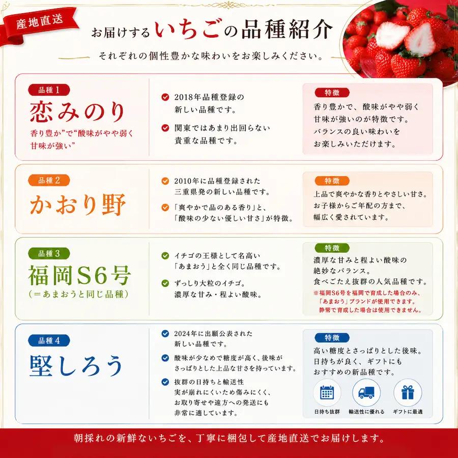 いちご【2027年発送】 たっぷり 満タンいちご4パック 　【 苺 いちご フルーツ 果物 】