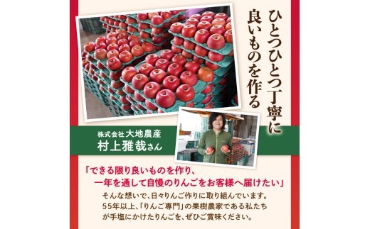 《先行受付》【2027年3月発送予定】 訳あり 家庭用サンふじ約10kg【大江町産・山形りんご・大地農産】