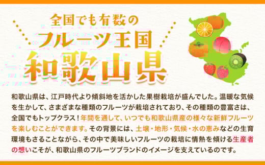 紅八朔（ポッポ）10kg（3L〜L）JAわかやま 紀の里地域本部《3月中旬-4月中旬に出荷予定(土日祝除く)》和歌山県 岩出市 産地直送 みかん 八朔 柑橘 果物 フルーツ ビタミンC たっぷり