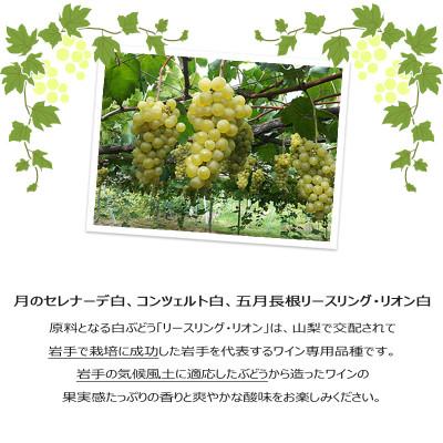 ふるさと納税 花巻市 ハーフサイズ24本入アソート |  | 02