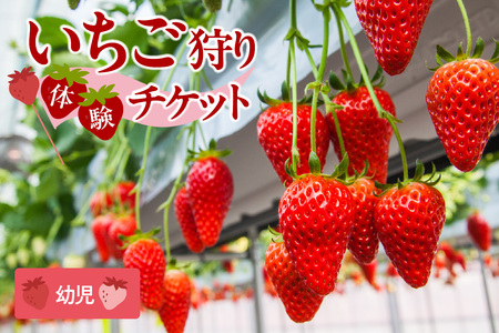 【2026年1月～実施】 いちご狩りチケット 幼児（3歳以上小学校入学前）1名様 苺 イチゴ 苺狩り レジャー 体験チケット お出かけ 愛知県 知多市