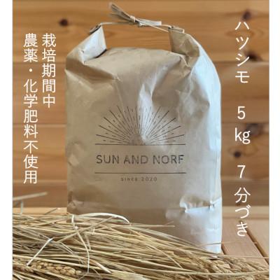 ふるさと納税 養老町 【令和7年産】初霜(源種)　7分づき5kg　(栽培期間中農薬・化学肥料不使用)