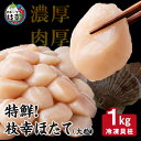 【ふるさと納税】特鮮！枝幸ほたて（大粒）冷凍貝柱1kg（S～2Sサイズ）　 ほたて 貝 海鮮 魚介 魚介類 海の幸 北海道