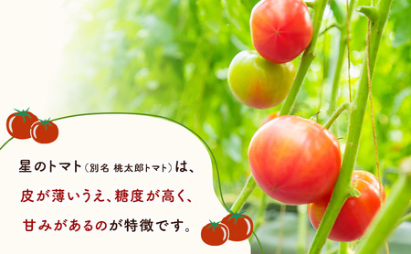定期便 6か月 トマト ジュース 「 星のトマトミックス 」 720ml 3本 セット  ジュース