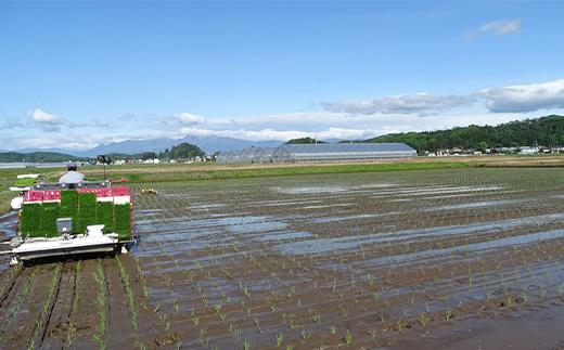 ほたる浪漫のこだわり米 コシヒカリ 玄米 10kg 米 玄米 コメ ごはん ご飯 食品  F25R-152