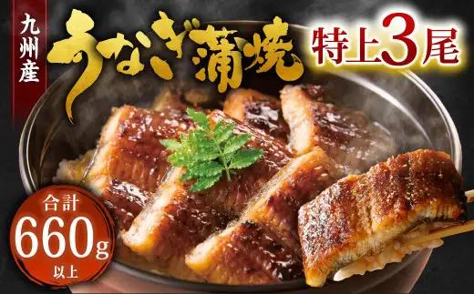 九州産 うなぎ 蒲焼 特上 3尾 計660g以上 (1尾あたり220～235g)【2026年8月発送】