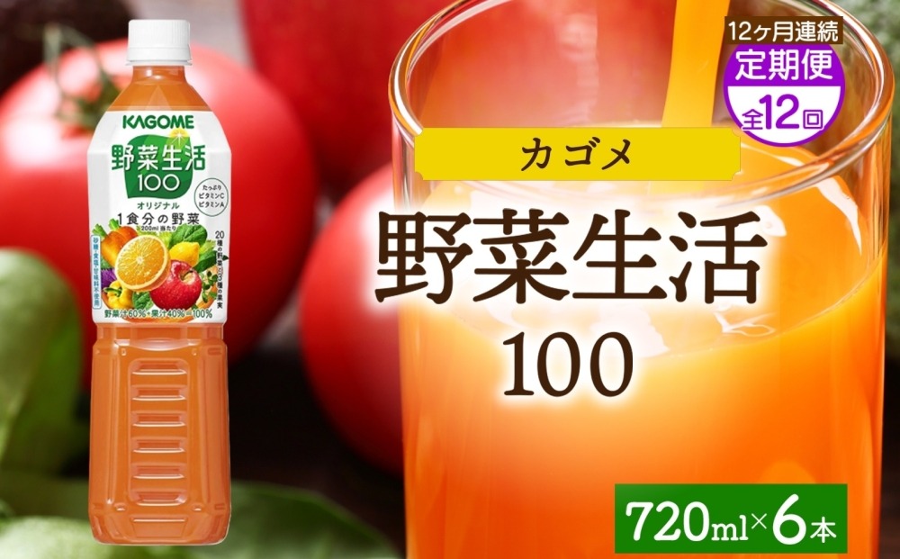 ns038-065　【定期便】12ヵ月連続野菜生活100 オリジナル 720mlPET