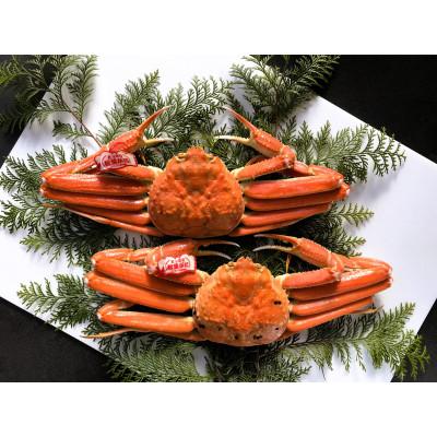 ふるさと納税 若桜町 【先行予約】鳥取県産　タグ付き浜茹で松葉がに　400g以上×2枚