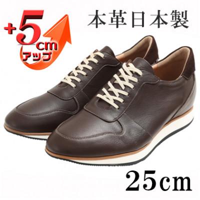 ふるさと納税 大和郡山市 スニーカー 本革紐タイプ 5cmアップシークレットシューズ No.801 ブラウン 25cm