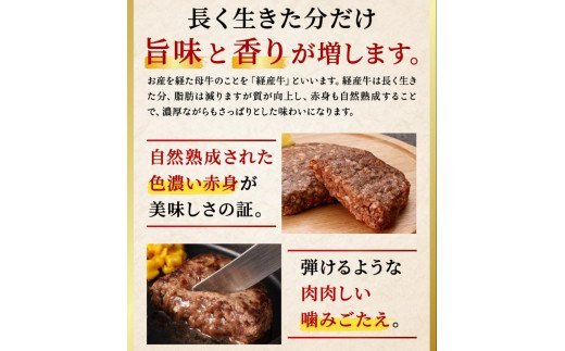 020AA09N.但馬牛経産牛ハンバーグ（150g×10個）／個包装 牛肉 黒毛和牛 100% 国産 経産牛 和牛 赤身 味付け ほくぶ バーベキュー bbq キャンプ アウトドア 焼肉 小分け 簡単