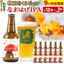 【ふるさと納税】《定期便9ヶ月》【秋田の地ビール】秋田あくらビール なまはげIPA 12本セット(330ml×計12本)