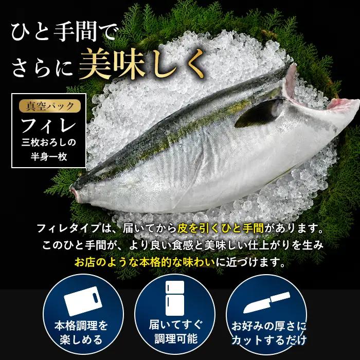 【期間限定】＼年末発送 先行予約／＜数量限定＞【2026年12月24日発送】『旅サラダ』で紹介ぶりの王様「 鰤王 」 フィレ 半身 (約1.2kg～・フィレ1枚) 産地直送 新鮮 旨味が抜群の 長島町
