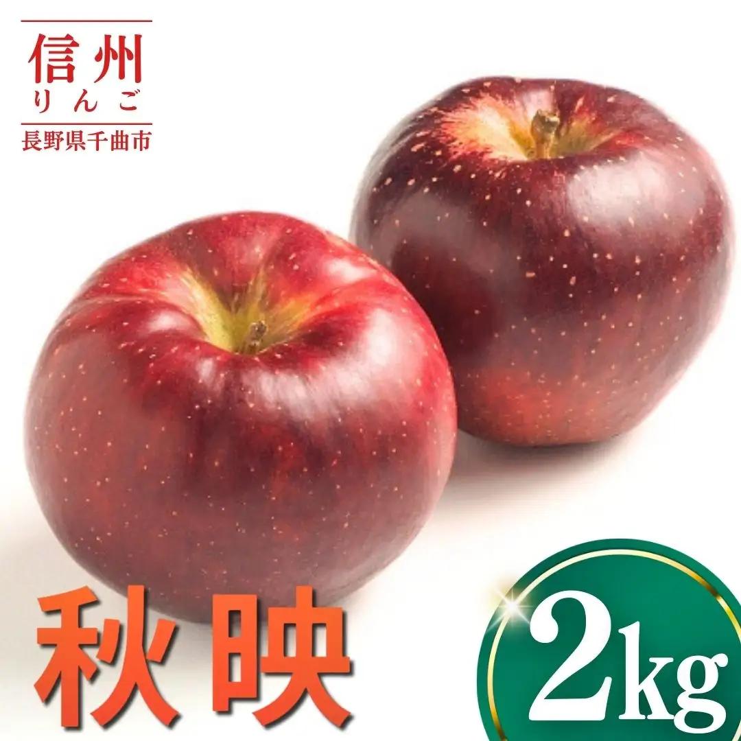 【2026年先行予約】りんご 秋映2kg |りんご 秋映