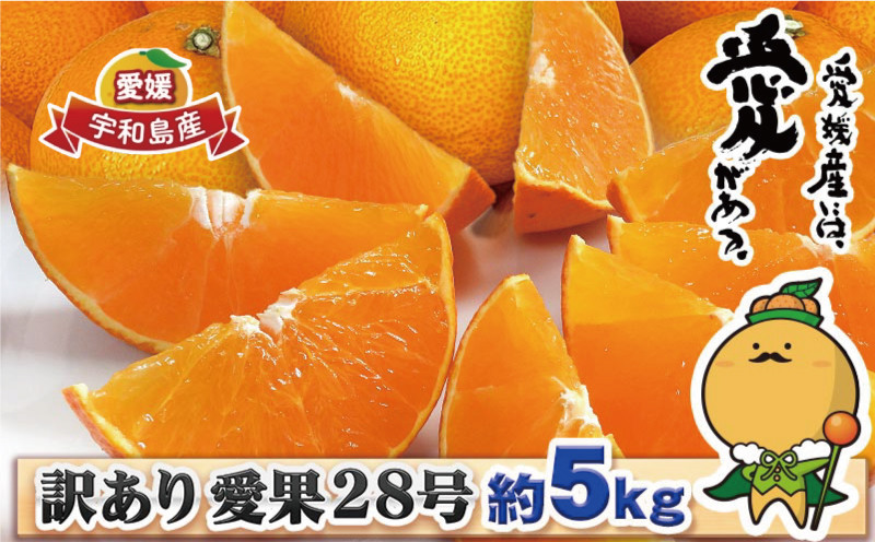 
                  訳あり 愛果28号 5kg 中井屋 先行予約 果物 くだもの フルーツ 柑橘 みかん 愛媛みかん 愛媛ミカン 愛媛蜜柑 愛媛県産 訳アリ 訳あり品 訳有り わけあり 高級 ブランド ゼリー プルプル 甘い サイズ 不揃い 産地直送 農家直送 数量限定 限定 品種 国産 愛媛 宇和島 B015-173001
                