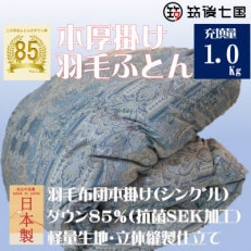 抗菌ダウン率85%1.0㎏本厚掛け羽毛布団シングル(ブルー・グリーン系)訳あり【筑後七国羽毛ふとん】