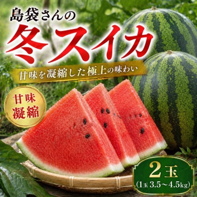 【2027年2月中旬から順次発送】島袋さんの冬スイカ 2玉(1玉3.5～4.5kg)【配送不可地域：離島】