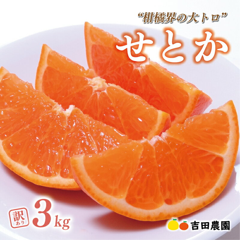 【ふるさと納税】 高評価 ★4.76 数量限定 先行予約 訳あり or 通常品 せとか 3kg みかん サイズミックス 14000円 18000円 高級 人気 ブランド プレミアム 柑橘 果物 フルーツ 期間限定 国産 わけあり mikan 蜜柑 ミカン 甘い おいしい 大トロ 吉田農園 愛南町 愛媛県