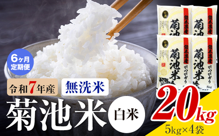 【6ヶ月定期便】熊本県産 菊池米 白米 無洗米 20kg 1袋5kg 米 お米 令和7年産 九州産 熊本県産 送料無料《お申込み翌月に出荷予定》 白米 米