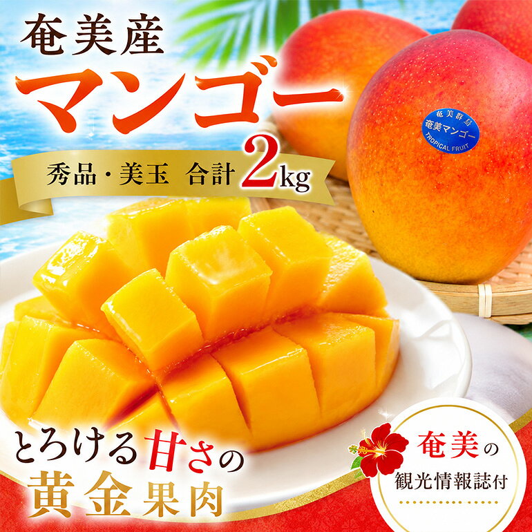 【ふるさと納税】【2026年先行予約】 マンゴー 2kg 4〜6玉 秀品 美玉 観光雑誌付き 奄美産 とろける甘さの黄金果肉 樹上完熟 完熟 奄美マンゴー のし対応可 鹿児島県 奄美市 お取り寄せ フルーツ 果物 トロピカル フルーツ 南国フルーツ ギフト 送料無料