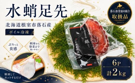 C-20004 【北海道根室産】ボイル水たこ足先6P(計2kg)