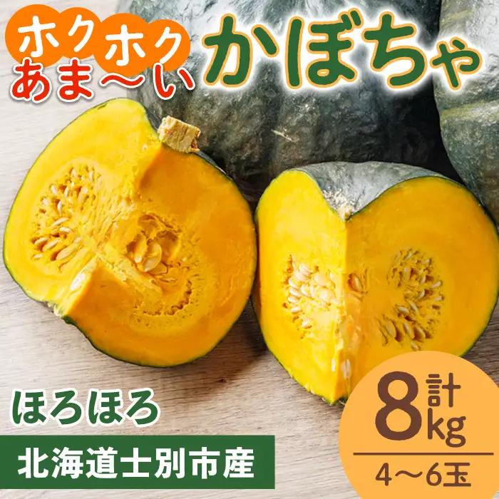 北海道 士別産 かぼちゃ ほろほろ 8kg 10月中旬以降準備ができ次第発送【吉方農園】 B7151