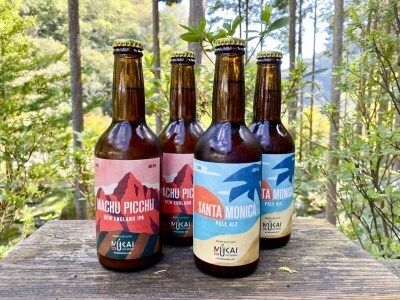 0223101 ムカイクラフトブルーイング　Geo[ジオ]シリーズ　２種各３本セット