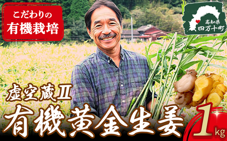 生産者こだわりの有機黄金生姜 （1kg）Ftf-A01 しょうが ショウガ 生姜 黄金しょうが 高知 国産 生姜焼き しょうが湯  レシピ付 魚料理 肉料理