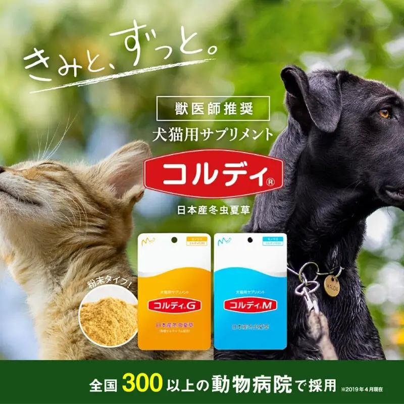 《定期便12ヶ月》犬 猫 ウサギ ペット用サプリメント(コルディM) 30g×1袋 12か月 12ヵ月 12カ月 12ケ月