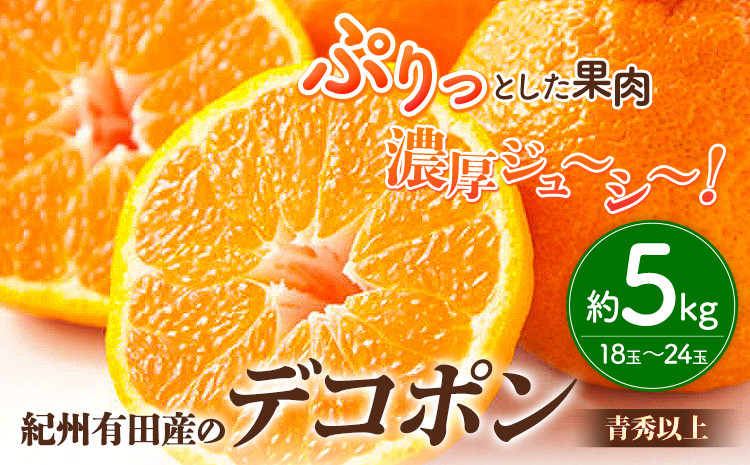 
            【先行予約】【お味濃厚】紀州有田産の デコポン 約 5kg (18玉～24玉入り・青秀以上) 厳選館 《2026年2月中旬-3月下旬出荷》和歌山県 日高町 送料無料 柑橘 柑橘類 でこぽん デコポン デコ 不知火 しらぬい
          