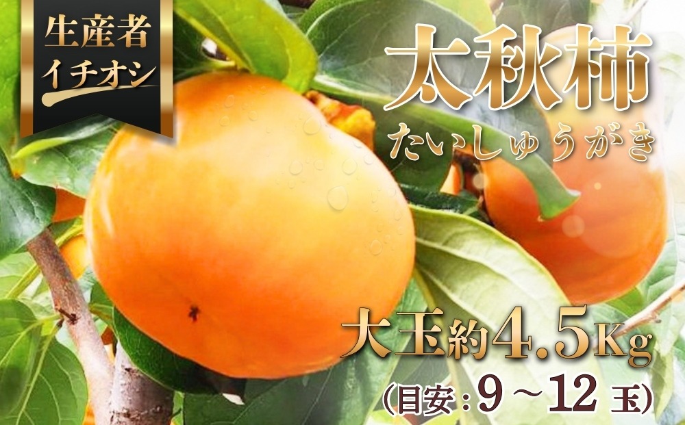 太秋柿（たいしゅうがき）約4.5kg（目安：9～12玉）　※2026年11月～発送