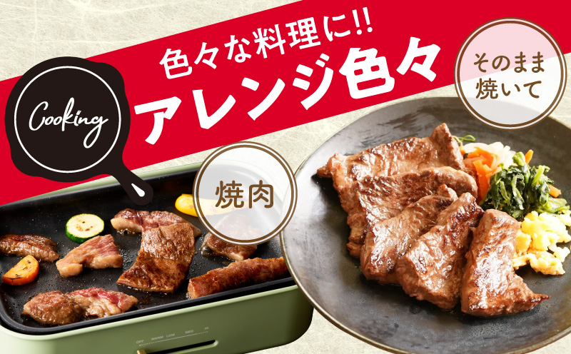 【お弁当サイズ】牛ハラミ ひと口ステーキ 800g【氷温熟成×旨味付け 小分け 400g×2P 味付き 訳あり 不揃い バラ凍結】