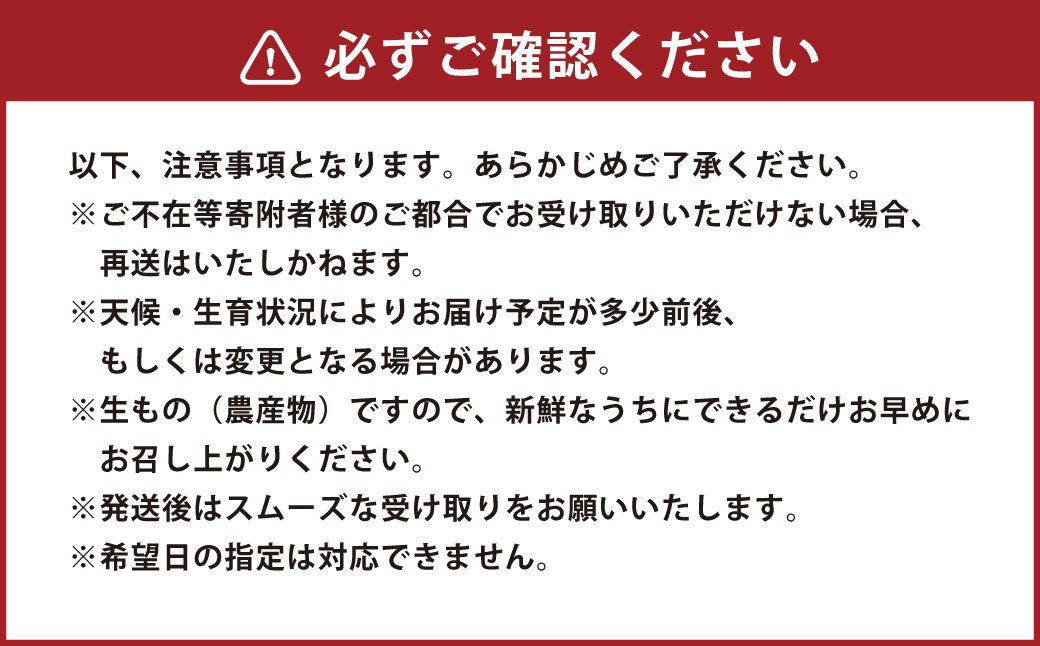【いちごさん】佐賀県産いちご 約1kg