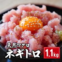 【ふるさと納税】 天然マグロ ネギトロ 1.1kg 10,000円 まぐろ 鮪 刺身 赤身 肉 ビンチョウマグロ ビンチョウ メバチマグロ 鉢マグロ メバチ キハダマグロ キハダ ネギトロ ネギトロ丼 マグロ漬け 海鮮丼 寿司 鉄火丼 手巻き寿司 魚 海鮮 魚介 国産 千葉県 銚子市 和田水産