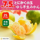 【ふるさと納税】ゆら早生 みかん 小玉ちゃん 箱込7.5kg (内容量 6.8kg) 2Sサイズ以下 秀優混合 有田みかん 和歌山県産 【みかんの会】 | 和歌山 フルーツ 果物 くだもの かんきつ 柑橘 柑橘類 みかんの会 送料込み 送料無料