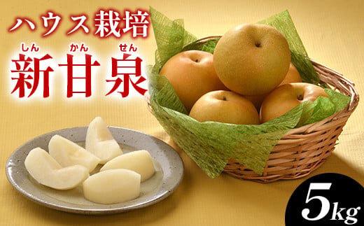 287.ハウス新甘泉（ハウスしんかんせん）５ｋｇ（ＪＡ）　※2025年8月上旬～8月中旬頃に順次発送予定 313726_AT001-P